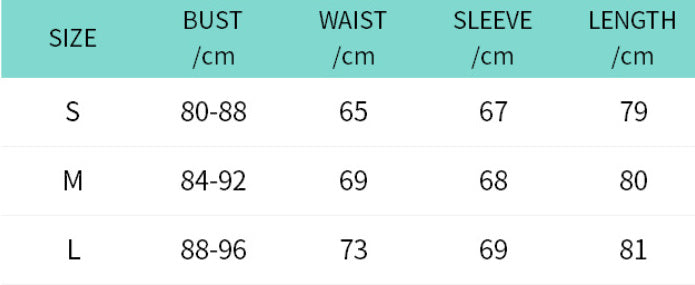 Women's Slim Fit Short Dress